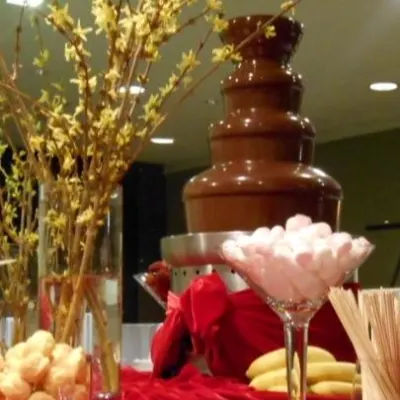 Dallas Chocolate Fountains Network
