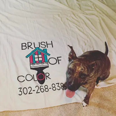 Brush Of Color