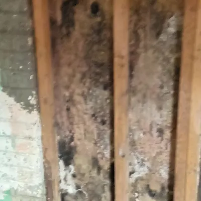3ibns Handyman Service