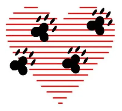 Community Veterinary Clinic