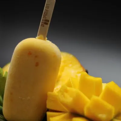 La Palette Artisan Ice Pop's