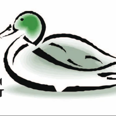 Duck Back Roofing & Exteriors