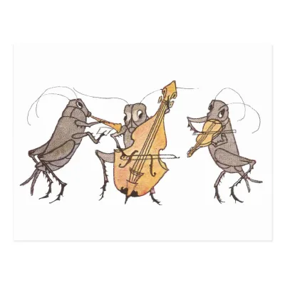 EG String Lessons