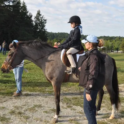 SLK Equestrian