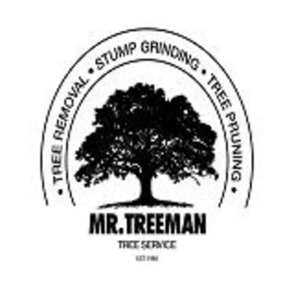Mr Treeman Tree Services