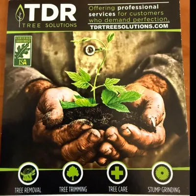 Tdr Tree Solutions 