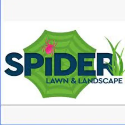 Spider Lawn And Landscape