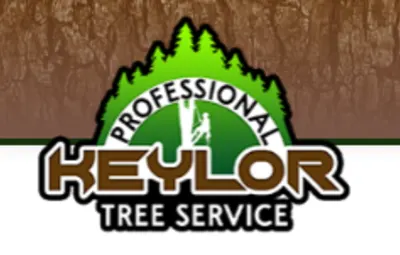Professional Keylor Tree Service, Inc.