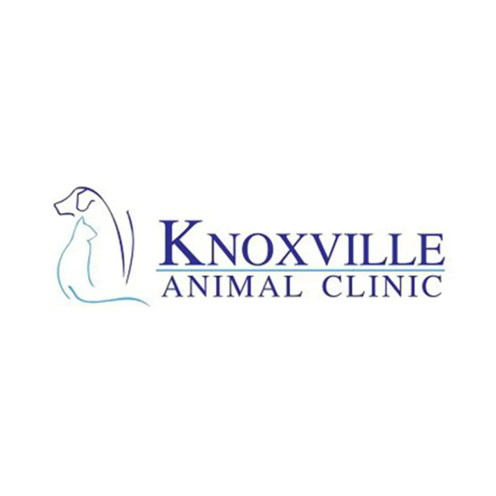 Knoxville Animal Clinic