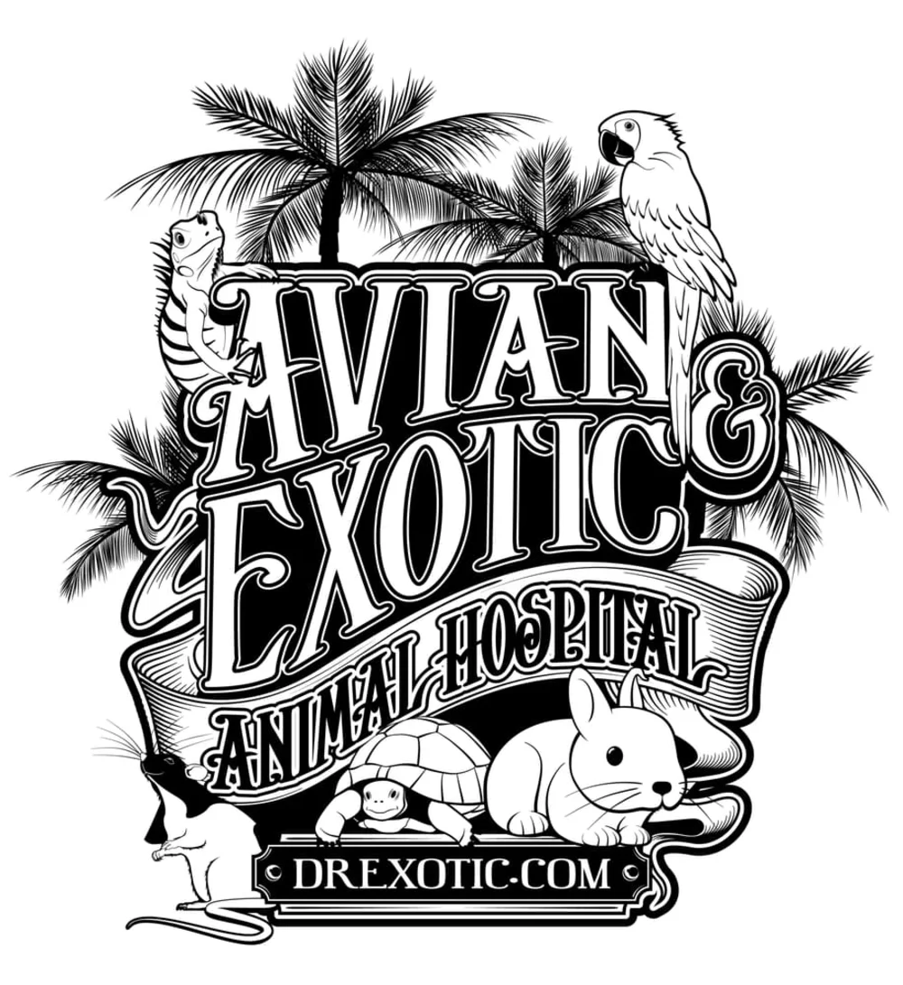 Avian & Exotic Animal Hospital