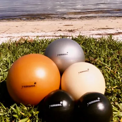 Freelance Trainer And English Riding Instructor