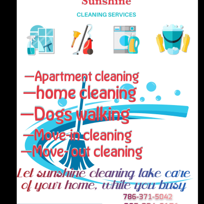 Sunshine Cleaning