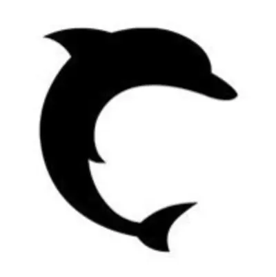 DOLPHIN TILE & CONSTRUCTION