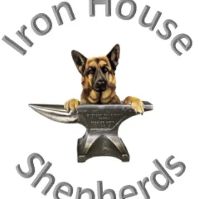 Ironhouse Shepherds