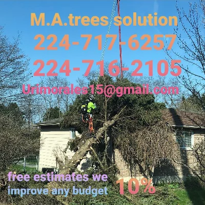 M.a Trees Solutions