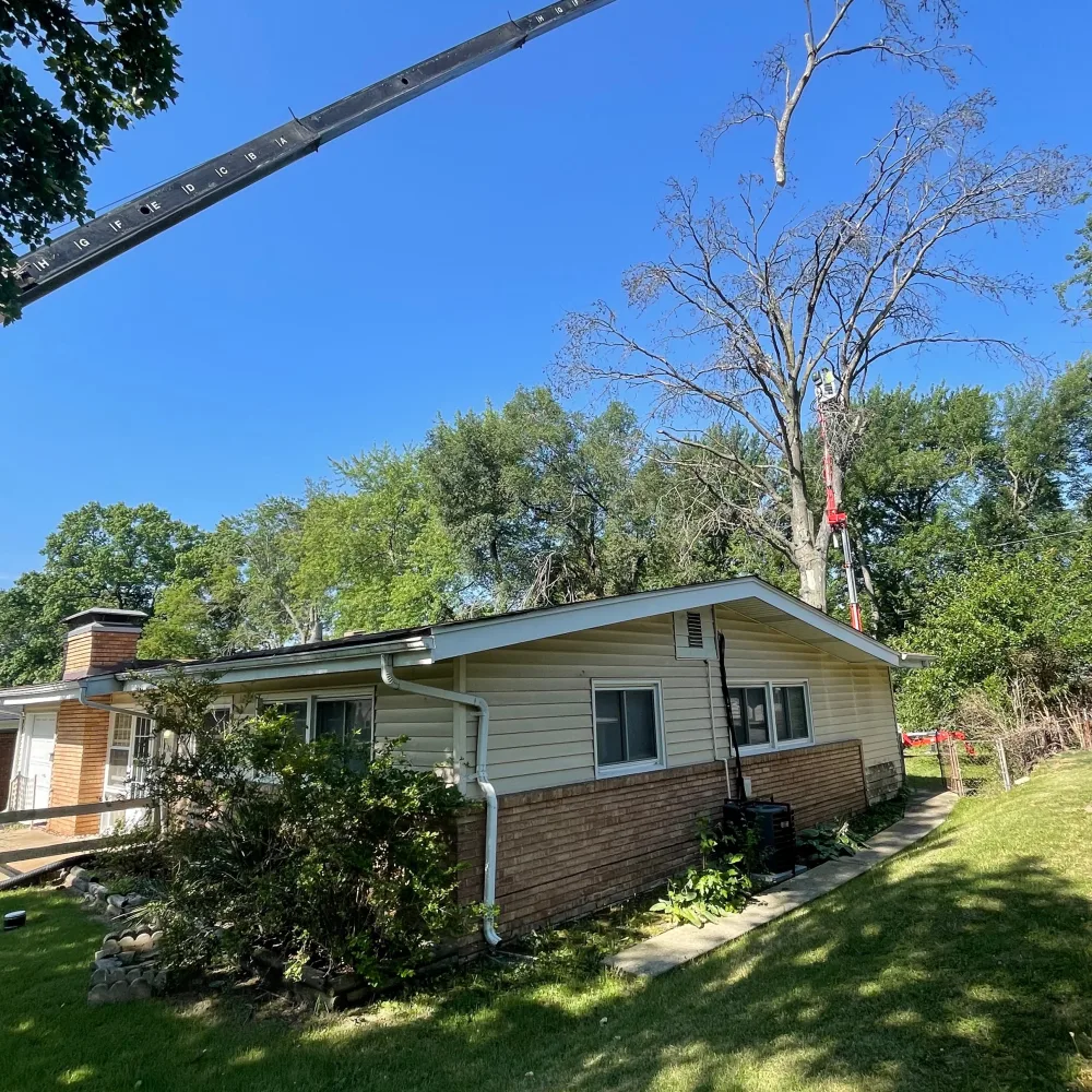Gregory Tree Service