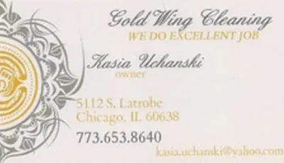 Gold Wing Cleaning