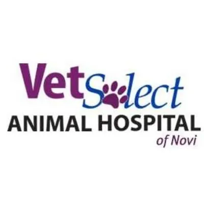 VetSelect Animal Hospital Of Novi