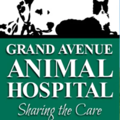 Grand Avenue Animal Hospital