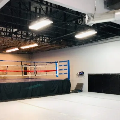 The Institute Of Mixed Martial Arts