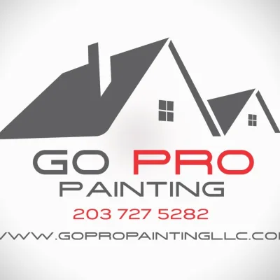 Go Pro Paintnging LLC