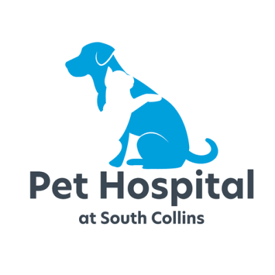 Pet Hospital At South Collins