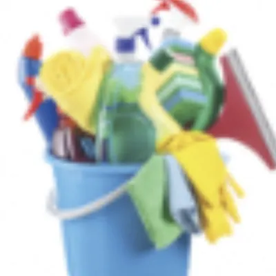 Alicia House Cleaning