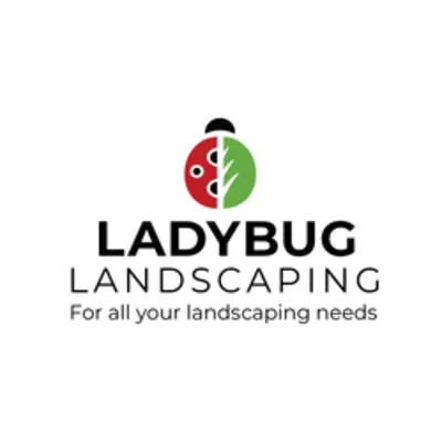 Ladybug Lawn Master