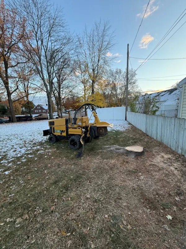 Stump Grinding