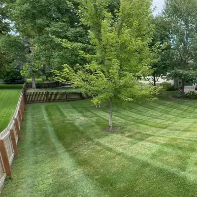 VB LANDSCAPING