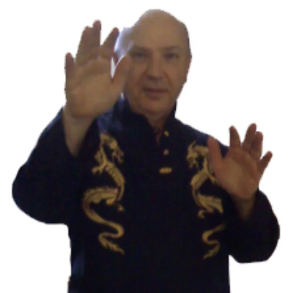 Dragon Wing Chun Kung Fu School