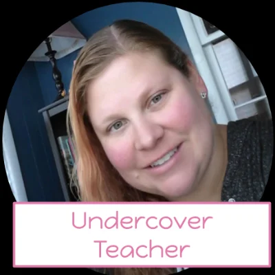 Undercover Teacher Tutoring