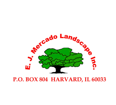 EJ Mercado Landscape