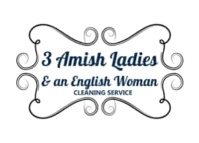 3 Amish Ladies And An English Woman