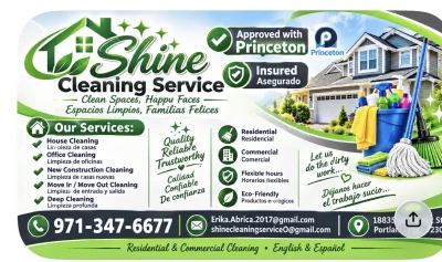 Shinny Cleaning Service