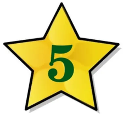 Five Star Cleaning Service, LLC
