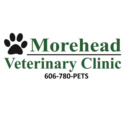 Morehead Veterinary Clinic
