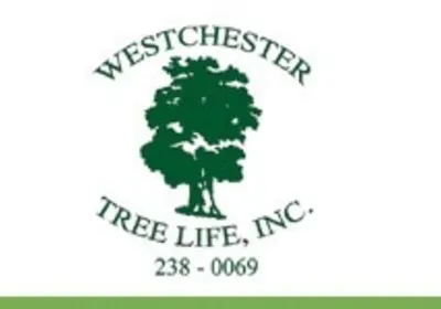 WESTCHESTER TREE LIFE INC