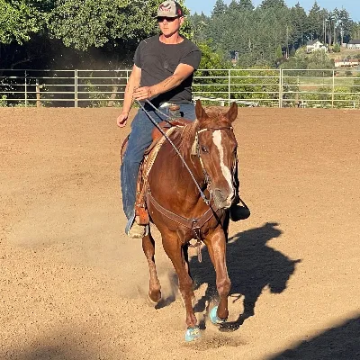 K Horses