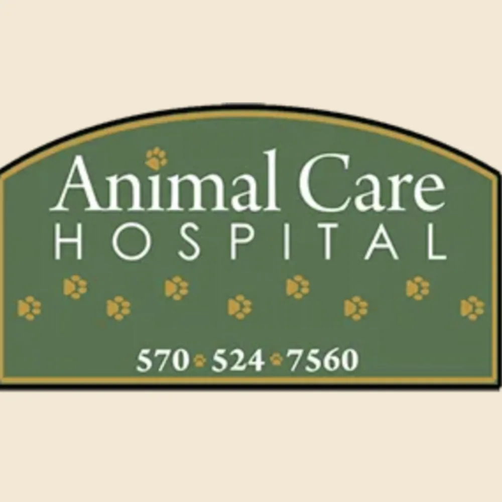 Animal Care Hospital