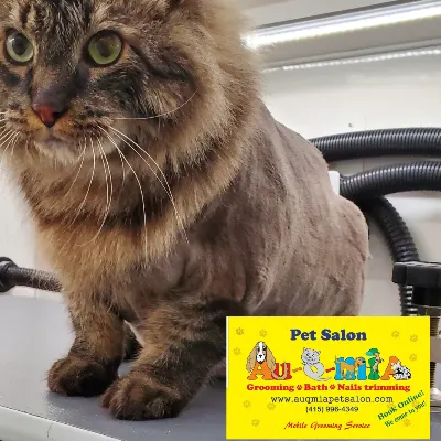 AU-Q-MIA PET SALON