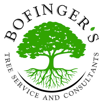 Bofinger's Tree Service And Consultants