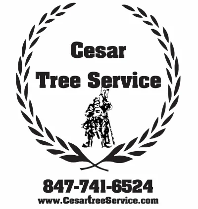 Cesar Lawn And Tree Service, Inc.