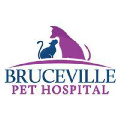 Bruceville Pet Hospital