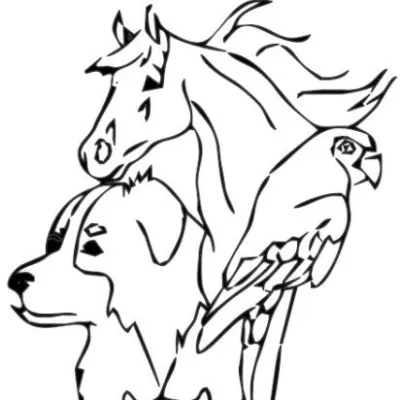 Kearny Veterinary Clinic