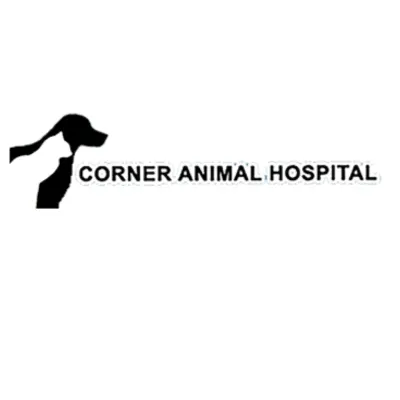 Corner Animal Hospital