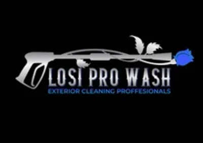 LOSI PRO WASH LLC
