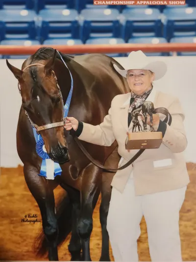 Solomon Show Horses