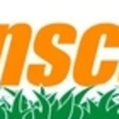 Fast Lawnscapes