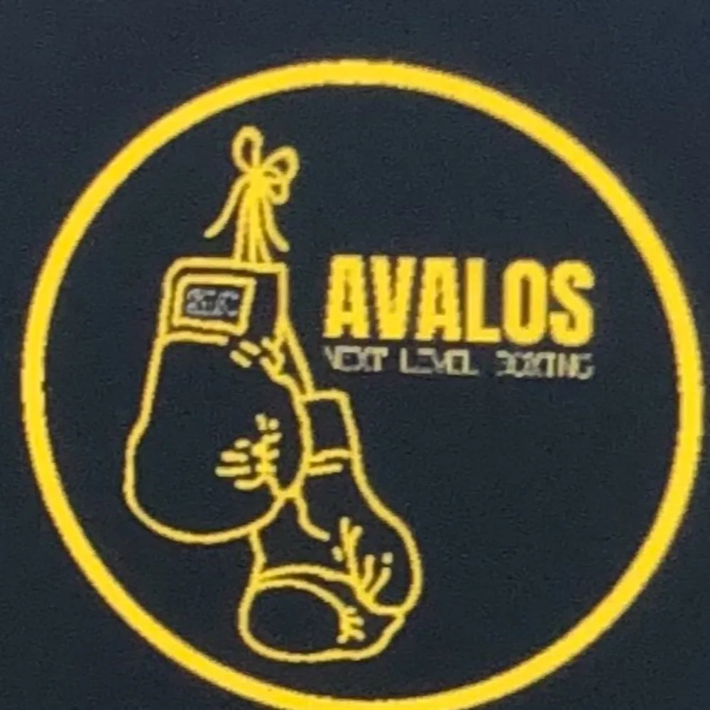 Avalos Next Level Boxing